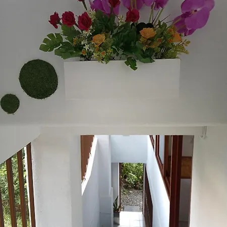 La Paz Manuel Antonio